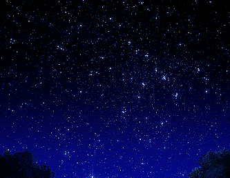 الخبر الاول 